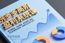 拼多多高阶盈利系统课，强付费策略、活动爆破、首页推荐，实现店铺稳定盈利（更新12月）-小白项目分享网