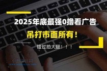 懒人福利！每天 20 分钟刷广告，动动手指轻松赚 100+，碎片时间就能做！-小白项目分享网