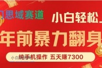年前爆火项目，每单可以赚个300-2000，5天赚了7300-小白项目分享网
