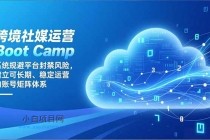 跨境社媒运营Boot Camp：系统规避平台封禁风险，建立可长期、稳定运营的账号矩阵体系-小白项目分享网