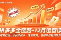 拼多多全链路-12月运营课，爆款打造、卡投产技术、活动破局，店铺单日利润破万-小白项目分享网