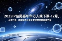 2025IP破局嘉年华万人线下课-12月，从IP打造、流量矩阵到商业变现的完整解决方案-小白项目分享网