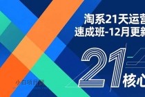 淘系21天运营速成班-12月更新，能够快速复制落地，系统掌握淘系盈利运营的核心技能-小白项目分享网