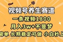 视频号养生赛道，一条视频1800，超简单，长期稳定可做，月入3w+不是梦-小白项目分享网