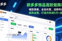 拼多多饰品高阶矩阵课，铺款策略、全站托管、店群布局，矩阵运营，打造月利润5万+店铺-小白项目分享网