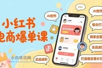 小红书电商爆单课，AI创作、组合打法、商家自营，实战进阶，打造稳定增长引擎-小白项目分享网