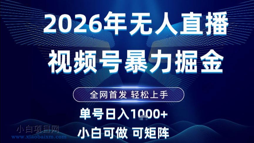 【匠心小白】2026最新视频号无人直播掘金，全网首发，小白可以玩，长期稳定日入1k+【揭秘】-小白项目分享网