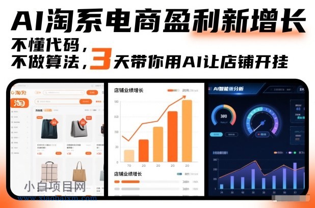 【匠心小白】AI淘系电商盈利新增长，不懂代码，不做算法，3天带你用AI让店铺开挂-小白项目分享网