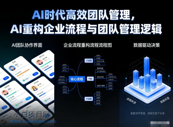 【匠心小白】AI时代高效团队管理，AI重构企业流程与团队管理逻辑-小白项目分享网