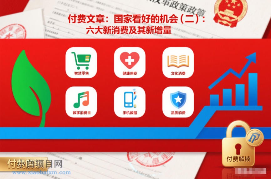 【匠心小白】付费文章：国家看好的机会(二)：六大新消费及其新增量-小白项目分享网