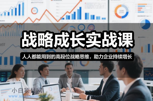 【匠心小白】战略成长实战课，人人都能用到的高段位战略思维，助力企业持续增长-小白项目分享网