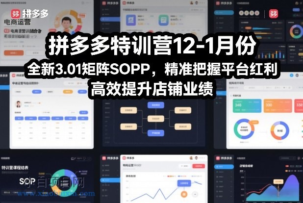 【匠心小白】拼多多特训营12-1月份，全新3.01矩阵Sop，精准把握平台红利，高效提升店铺业绩-小白项目分享网