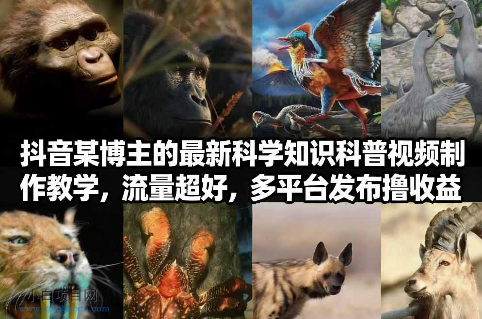 【匠心小白】抖音60W粉丝博主最新科学知识科普视频制作教学，流量超好，多平台发布撸收益-小白项目分享网