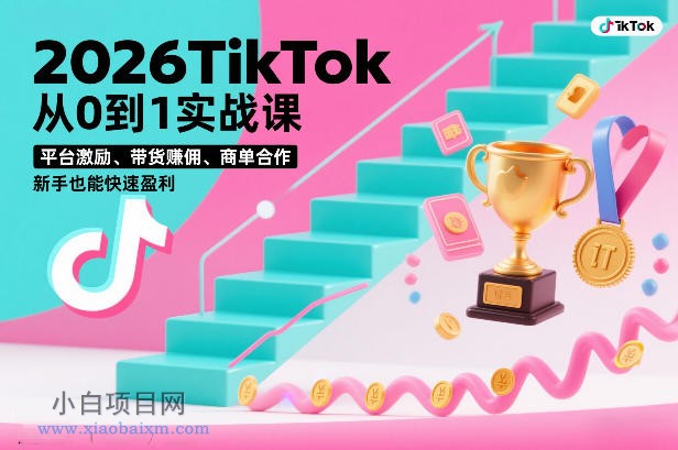 【匠心小白】2026TikTok从0到1实战课，平台激励、带货賺佣、商单合作，新手也能快速盈利（3天直播课）-小白项目分享网