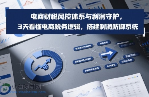 【匠心小白】电商财税风控体系与利润守护，3天看懂电商税务逻辑，搭建利润防御系统-小白项目分享网