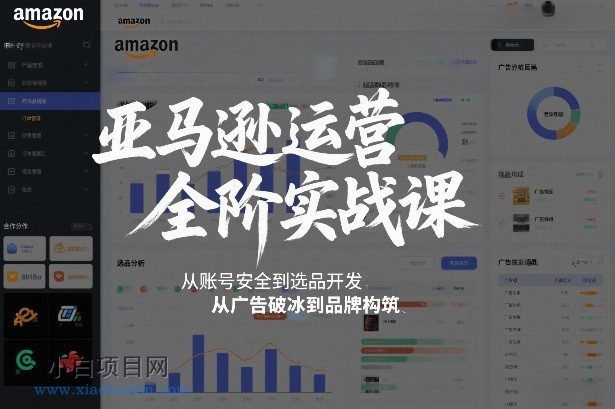 【匠心小白】亚马逊运营全阶实战课，从账号安全到选品开发，从广告破冰到品牌构筑（更新2026）-小白项目分享网