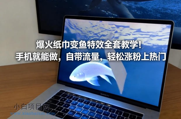 【匠心小白】爆火纸巾变鱼特效全套教学！手机就能做，自带流量，轻松涨粉上热门-小白项目分享网