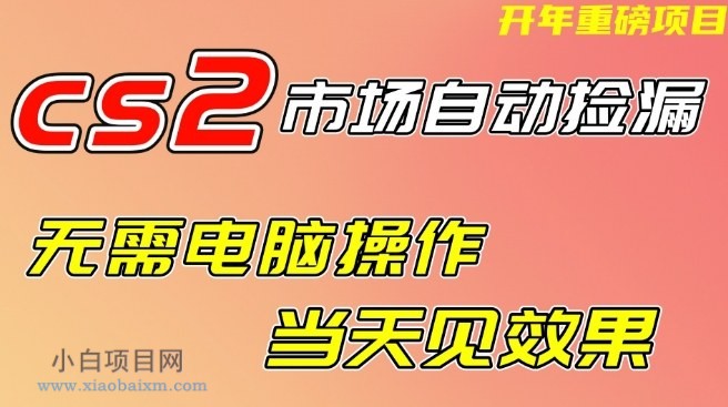 【匠心小白】CS2市场自动捡漏项目，无需电脑操作，无需进入游戏，当天见效果，支持任何形式验证【揭秘】-小白项目分享网