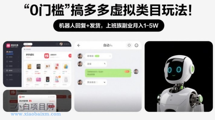 【匠心小白】0门槛搞多多虚拟类目玩法！机器人回复+发货，上班族副业月入1-5W【揭秘】-小白项目分享网