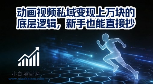【匠心小白】动画视频私域变现上W的底层逻辑，新手也能直接抄-小白项目分享网