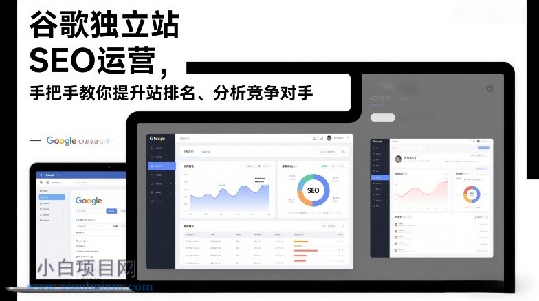 【匠心小白】谷歌独立站SEO运营，手把手教你提升网站排名、分析竞争对手（更新2026）-小白项目分享网