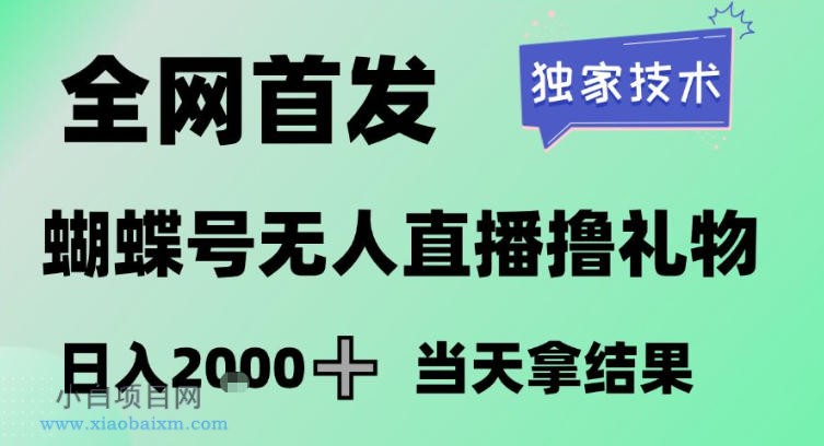【匠心小白】2026最新蝴蝶号无人直播掘金，独家技术，全网首发小白做了一个月收益3W，长期稳定可做【揭秘】-小白项目分享网