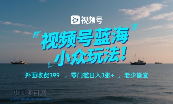 【匠心小白】视频号蓝海小众玩法！外面收费399，零门槛日入3张+，老少皆宜-小白项目分享网