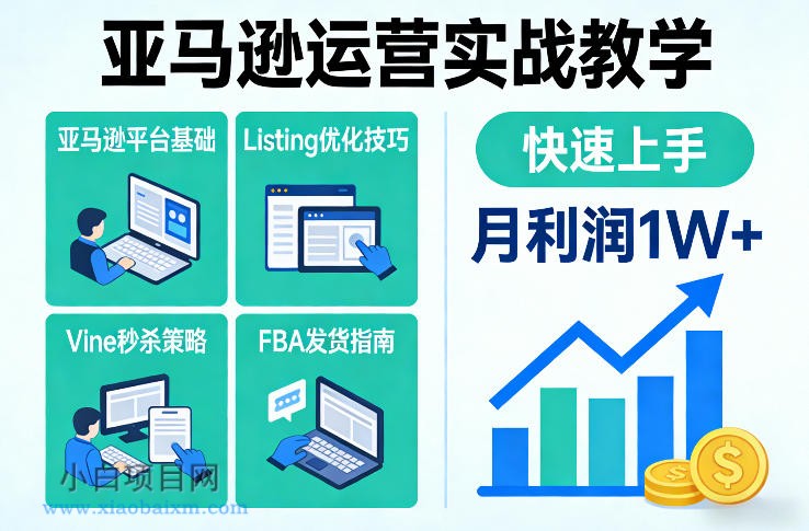 【匠心小白】亚马逊运营实战教学，亚马逊平台+Listing优化+Vine秒杀+FBA发货等，快速上手，实现店铺月利润1W-小白项目分享网