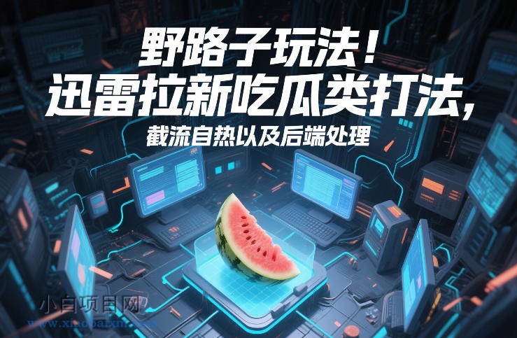 【匠心小白】野路子玩法！迅雷拉新吃瓜类打法，截流自热以及后端处理-小白项目分享网