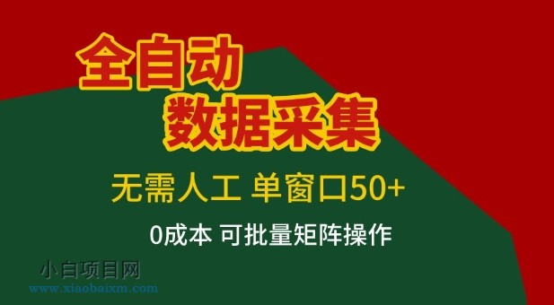 【匠心小白】全自动数据采集项目，无需人工，单窗口可达50+收益，操作简单无难度，一个人也能轻松实现矩阵【揭秘】-小白项目分享网