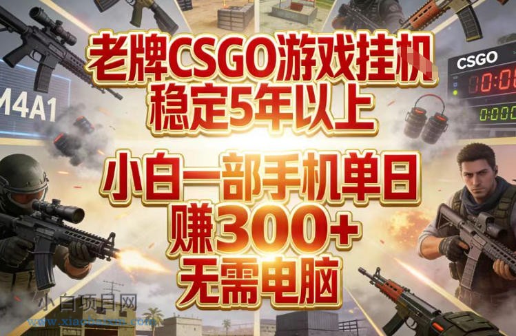 【匠心小白】老牌CSGO游戏挂G,稳定5年以上,小白一部手机单日賺3张+,无需电脑【揭秘】