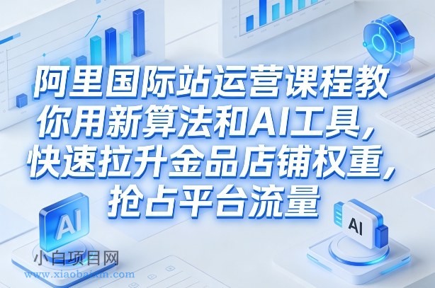 【匠心小白】阿里国际站运营课程，教你用新算法和AI工具，快速拉升金品店铺权重，抢占平台流量（更新2026）-小白项目分享网