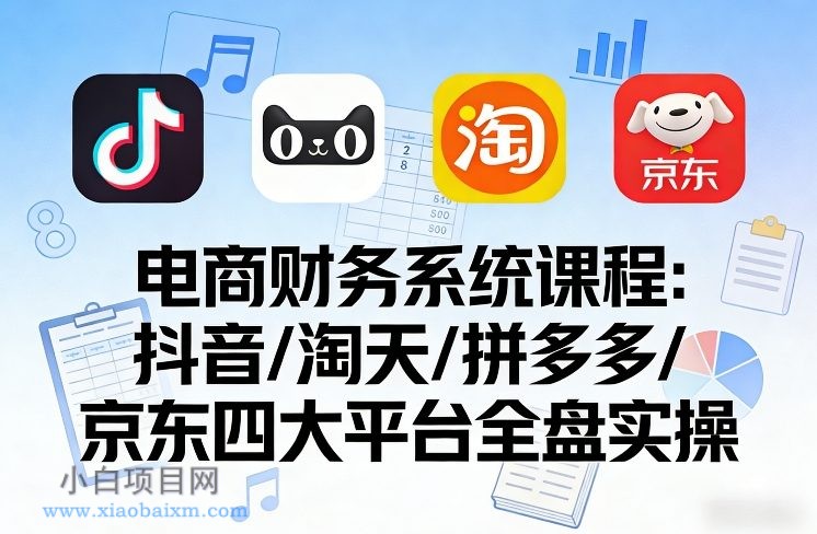 【匠心小白】电商财务系统课程，覆盖抖音、淘天、拼多多、京东四大主流平台的全盘实操-小白项目分享网