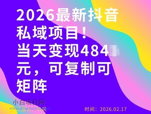 【匠心小白】26年最新抖音私域玩法，当天变现4张+，可复制可粘贴，新手小白可做-小白项目分享网