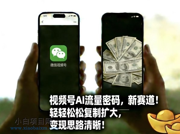 【匠心小白】视频号AI流量密码新赛道，轻轻松松复制扩大，变现思路清晰-小白项目分享网
