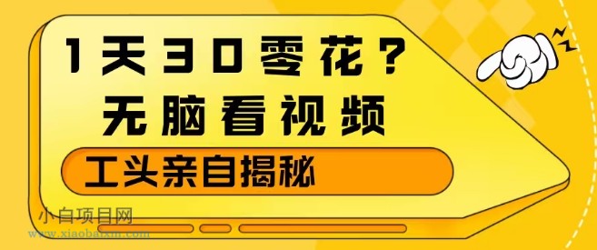 【匠心小白】1天30零花？无脑看视频，大佬亲自揭秘-小白项目分享网