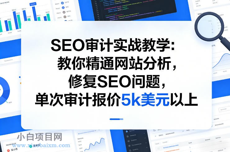 【匠心小白】SEO审计实战教学：教你精通网站分析，修复SEO问题，单次审计报价5k美元以上-小白项目分享网