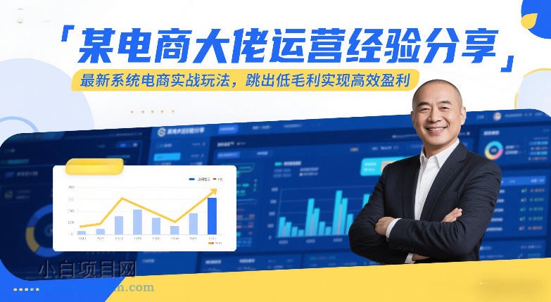 【匠心小白】某电商大佬运营经验分享，最新系统电商实战玩法，跳出低毛利实现高效盈利（更新）-小白项目分享网