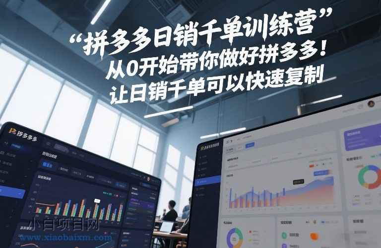 【匠心小白】拼多多日销千单训练营，从0开始带你做好拼多多，让日销千单可以快速复制(更新26年2月)-小白项目分享网