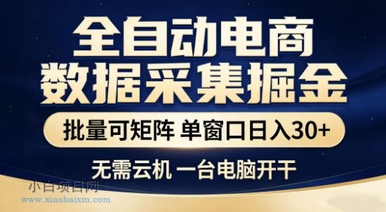 【匠心小白】独家电商数据全自动采集项目，批量可矩阵，单窗口轻松日入3张+【揭秘】-小白项目分享网