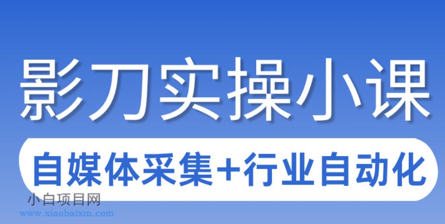 【匠心小白】3天攻克影刀RPA：自媒体数据采集+行业自动化全流程-小白项目分享网