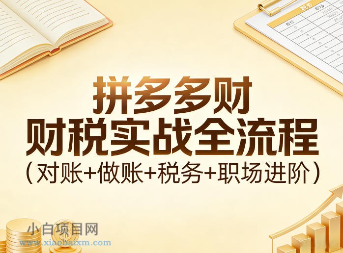 【匠心小白】拼多多财税实战全流程（对账+做账+税务+职场进阶）-小白项目分享网