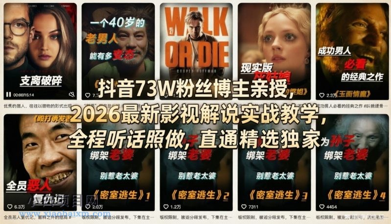 【匠心小白】抖音73W粉丝博主亲授，2026最新影视解说实战教学，全程听话照做，直通精选独家-小白项目分享网