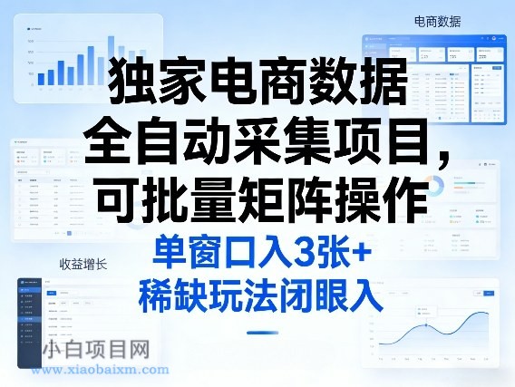 【匠心小白】独家电商数据全自动采集项目，可批量矩阵操作，单窗口日入3张+，稀缺玩法闭眼入【揭秘】-小白项目分享网