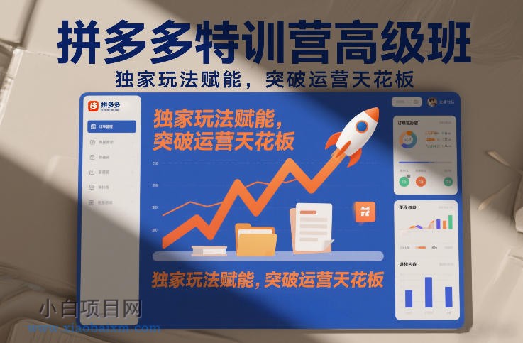 【匠心小白】拼多多特训营高阶班，独家玩法赋能，突破运营天花板（更新26年3月13日）-小白项目分享网