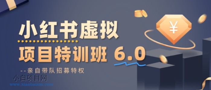 【匠心小白】小红书虚拟项目特训课8.0，帮你从0到1打造稳定盈利的店铺，抓住流量红利（更新3月）-小白项目分享网