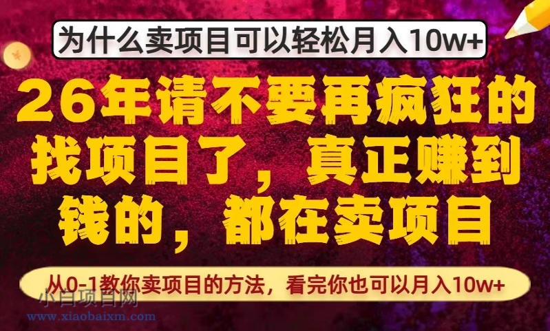 【匠心小白】为什么真正賺到钱的都在卖项目，从0-1教你卖项目的方法，看完你也可以月入10w+【揭秘】-小白项目分享网