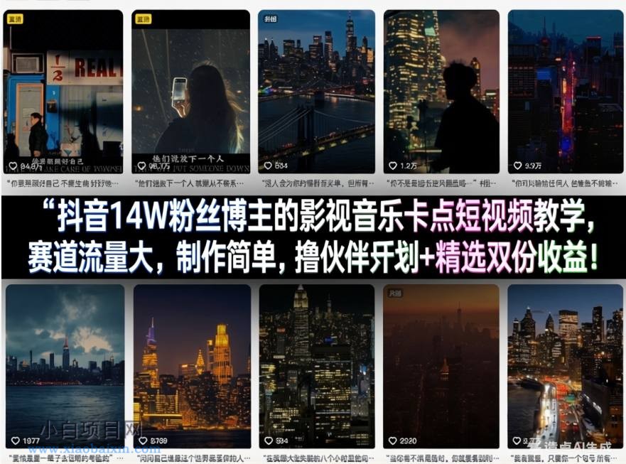【匠心小白】抖音14W粉丝博主的影视音乐卡点短视频教学，赛道流量大，制作简单，撸伙伴计划+精选双份收益！-小白项目分享网