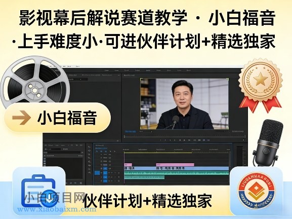 【匠心小白】某大佬的影视幕后解说赛道教学，小白福音，上手难度小，可进伙伴计划+精选独家-小白项目分享网
