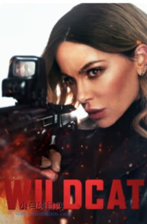 2025美国动作片《限时营救》高清下载